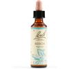 SCHWABE PHARMA ITALIA BEECH BACH ORIG 20ML - SCHWABE PHARMA ITALIA - 942859137