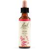 SCHWABE PHARMA ITALIA ELM BACH ORIG 20ML - SCHWABE PHARMA ITALIA - 942859226