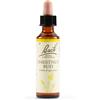 SCHWABE PHARMA ITALIA CHESTNUT BUD BACH ORIG 20ML - SCHWABE PHARMA ITALIA - 942859188