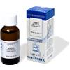 SARANDREA MARCO &C. Srl Abies pectinata 100 ml macerato glicerico - - 911188732