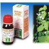 SPECCHIASOL MELISSA 17 50ML TM - SPECCHIASOL - 900538962