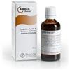NAMED AMARA 50ML GTT PASCOE - NAMED - 800161150