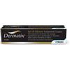 Dermatix Gel 60 G Np Dermatix