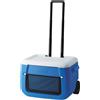 50 QT Poly-Lite Ghiacciaia Con Rotelle, 47 Litri Di Capacità, Frigo Portatile pe