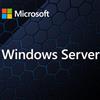Microsoft EP2-25247 WINDOWS SERVER CAL 2025 IT 5DEV CAL