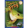 Kathleen Weidner Zoeh From Tadpole to Frog (Scholastic Reader, Leve (Tascabile)
