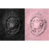 Blackpink Kill This Love (Random Cover) (CD)