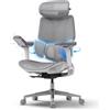 Hbada E3 Pro Sedia Ufficio e Scrivania Ergonomica, con Supporto Lombare Dinamico a 3 Zone, Testiera Regolabile 4D, Braccioli Regolabili 6D (Polipropilene, Gray)