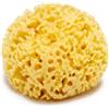Spugna mare naturale arcipelago 8 cm - - 989657162