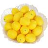 Notakia 25 limoni artificiali, frutti artificiali, limoni finti realistici, limonata artificiale, decorazioni per feste, cucina, tavolo estivo, riempimento per vasi, accessori fotografici (25 pezzi