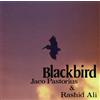 ????·?? ???·?????? ブラックバーズ 名盤1100円 2024 (CD)
