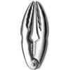 COOK CONCEPT, KU0014, Pinza per crostacei in Acciaio Inossidabile, Utensile da Cucina ergonomico, Design Innovativo, Presa Comoda, Forza di serraggio ottimale, Versatile, Grigio, Taglia Unica