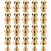 QUARKZMAN 20 Set Rivetti a Testa Sferica in Ottone Diametro 8mm. Dorato | Rivetto a Bottone con Vite Posteriore, per Lavorazione Del Cuoio Fai da Te