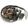 Generico Statore 7 Poli per Aprilia Scarabeo 50 1993-2005, Malaguti F10 Jet Line 1992-1998, Yamaha Aerox 50 1997-2002,senza piattello