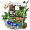 LERAVA® Argilla Espansa per Piante in Vaso (5L) - Drenante Leggero e Resistente - Argilla per Piante a PH Neutro - Substrato Decorativo per vasi e fioriere