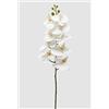 EDG Enzo De Gasperi Orchidea Phalaenopsis Ramo Artificiale H 94 Cm White