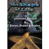 Sling Shot The Shape of Life: Ultimate Animal/Bones, Brawn and Brains (DVD) Peter Coyote