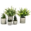 ZUPAPJO 5 Pezzi Piante Finte da Interno, Piantine Finte Decorative Vasetto