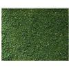 Generico Tavoletta Base Foglio Muschio per Fondo Presepe 40x60 centimetri