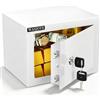 WASJOYE Mini Cassaforte -17 * 23 * 17cm Cassaforte a muro a serratura di sicurezza, Bianco cassaforte piccola per casa, ufficio, hotel, denaro, documenti, gioielli, passaporti,6.6L