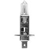 OROK Turbocar T-100842 Lampada Iode H1 12V 55W