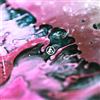 Linkin Park From Zero (CD) Album