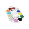 Smiffys Pallet Make-Up della Smiffy FX, acqua Viso e Body Paint, 12 colori, include, 4 x pennelli, 2 x spugne e guida, a base d'acqua