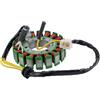 Mortch Motors MORTCH Bobina di statore magnetico per moto, 18 poli, DC Fired Magneto Stator adatto per CF250 V3 V5 CH250 CN250 con motore verticale raffreddato ad acqua da 250 cc raffreddato ad acqua ATV Dirt Bike