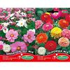 Germisem Sensation Tall Mix Semi di Cosmos 2 g & California Mix Semi di Zinnia 2 g