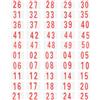 SHOWERORO Pettorina Numero Gara in Poliestere Cotone Clip in Metallo, Set 1 Pezzo, Compatibile Tutte Le Condizioni Meteorologiche, per Eventi Sportivi e Scolastici