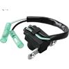 PJFXUIZ 66M-85580 Bobina impulsi per 9.9HP 15HP F15 T9. Motore fuoribordo 66M-85580-00 per Barche