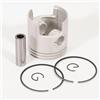 PJFXUIZ 6F6-11631 Kit pistone Std 78MM per Motore fuoribordo 2 Tempi 40HP 40G 40J 6F6-11631-00 6F6-11636-20 6F5-11610-00 Barca