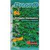 SemiRari Trifoglio Nanissimo tappezzante 500gr