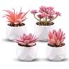 PetGlimmer 4 Pezzi Mini Succulenti Artificiali, Piante Finte Grasse con Vasi, Plastica Piante Artificiali Succulente, Piante Finte per la Casa, Camera da Letto, Soggiorno, Ufficio, Decorazione Della Scrivania