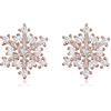 EVER FAITH Orecchini Invernale 925 Argento Fiore Fiocco di Neve Zirconia cubica a lobo