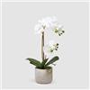 EDG Enzo De Gasperi Enzo De Gasperi Orchidea Phalaenopsis Pianta x2 Artificiale con Vaso H 42 Cm White