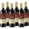 - Box Cabernet Sauvignon Puglia IGT 2023 - Vino Rosso Secco, Morbido E Vellutato