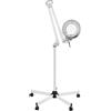 GAOUSD Lampada a LED con lente d'ingrandimento da 24 W con luce d'ingrandimento 8 x lampada estetica professionale angolo regolabile rotazione a 360 gradi, lente d'ingrandimento illuminante, per