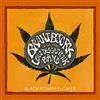 Brant Bjork and the Low Desert Punk Band Black Power Flower (CD)