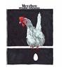 Merzbow Circular Reference (Vinyl LP) 12" Album Coloured Vinyl (Limited Edition)