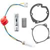 VEVOR Kit di Riparazione Candelette 8V, Kit di Manutenzione per Riscaldatore di Parcheggio Diesel da Auto con Schermo Atomizzante, Compatibile con Riscaldatore d'Aria Diesel da 5 kW, 8 kW