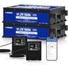 DC HOUSE DCHOUSE Batterie LiFePO4 48V 100Ah (Pack 2×48V 50Ah), Bluetooth con App e Monitor, BMS 100A, Protezione Bassa Temperatura, Struttura in Metallo, per Golf Cart, Camper e Impianti Solari Off-Grid