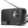 Mesqool Radio Digitale DAB&FM con Bluetooth, Batteria Ricaricabile da 3000mAh, Compatibile con Schede TF da 64GB, Ricarica Type-C, Presa per Cuffie, 40 Stazioni FM Preimpostate & 40 Stazioni DAB, EQ