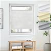 Jalousiescout Tenda Plissettata Klemmfix, 110x120cm, Bianco, Protezione Privacy Finestra Protezione Dal Sole, Tenda a Soffietto Traslucida per Finestra e Porta, Plissee Puro di Base