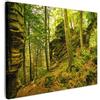 MuchoWow© Quadri su Tela 80x60 cm Foto Quadro Moderno Soggiorno Canvas Decorazioni Camera da Letto Alberi - Pietra - Foresta - Natura - Piante