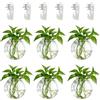 Nuptio Vasi da Parete Piante interno: 10cm Diametro Vaso da Appendere Terrario Pianta per Casa Ufficio Soggiorno - Moderno Fiori Vasi Sospesi per Esterno Giardino Decor Set da 6