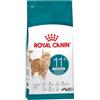 Royal Canin Ageing Sterilised 11+ | 4 kg | Alimento secco per gatti sterilizzati a partire dall'11° anno di età | Formula con HealthyAge7™ Complex | Contiene crocchette facili da masticare