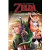 Akira Himekawa The Legend of Zelda: Twilight Princess, Vol. 11 (Tascabile)