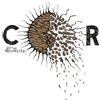 Cor Gott der Möglichkeiten (Vinyl LP)