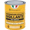 Proxinova Sigillante Impermeabile - Impermeabilizzante Terrazzi Trasparente e Resistente agli Agenti Atmosferici per Tetti, Terrazze, Bagni e Cantine - Aderenza Multisuperficie & Asciugatura Rapida